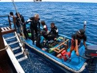 Divers Boarding Tender From Mari