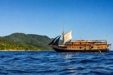 Mari Sailing Past Jungle Island