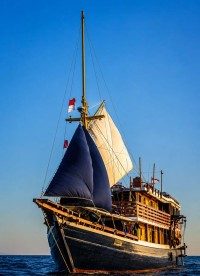 Mari Under Sail Portrait