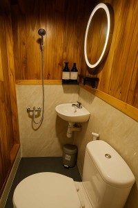 Master Cabin Toilet Bathroom