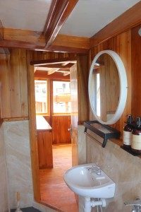 Standard Twin Toilet