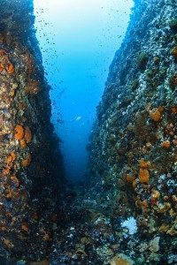 Dive Valley
