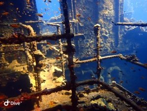 Abu Nuhas wreck diving Red Sea Egypt no troubles just bubbles diving
