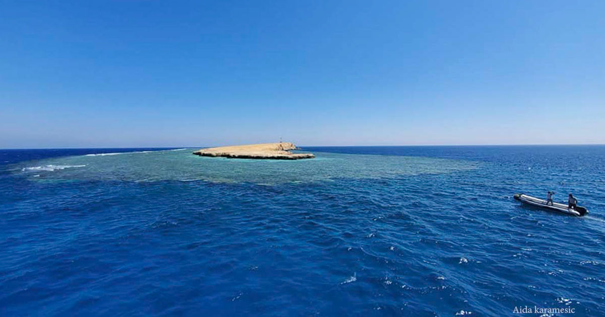 Little Brother Island Red Sea Egypt
