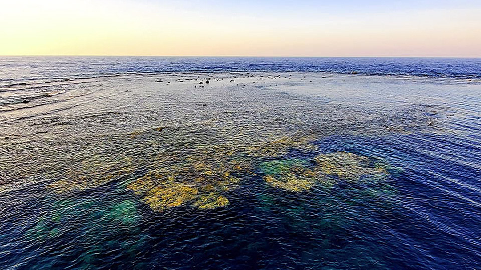 Elphinstone Reef Red Sea Egypt Liveaboard Diving