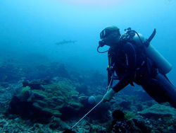 diver at Hin Muang liveaboard diving Thailand