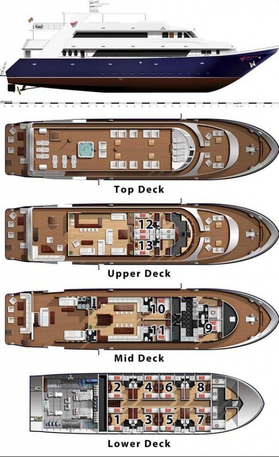blue voyager deckplan layout