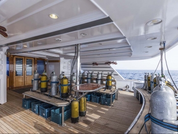 dive deck Golden Dolphin II 2 Red Sea liveaboard
