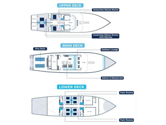 Neptune one layout