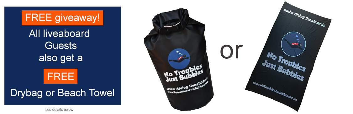 get a free no troubles just bubbles drybag or beach towel