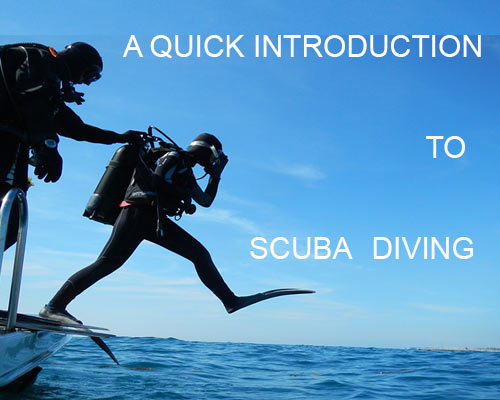 quick introduction to scuba diving intro