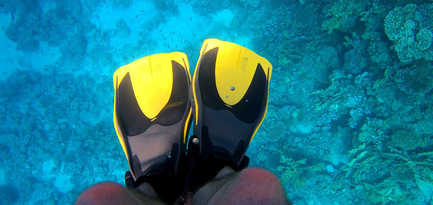 scuba diving fins