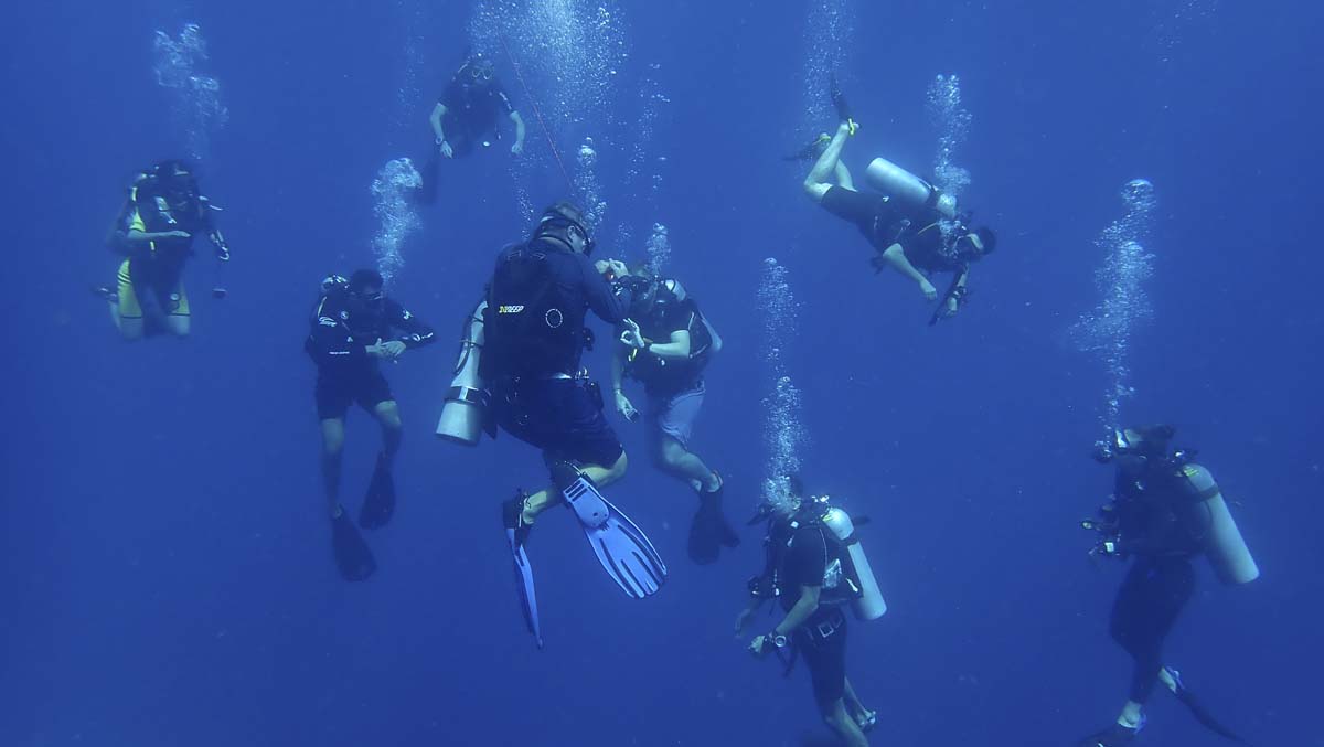 Large group of divers trying to hold depth with buoyancy skills on a safety stop during their