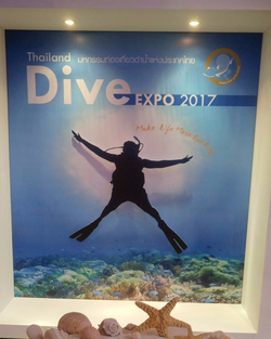 Thailand dive expo 2017 intro