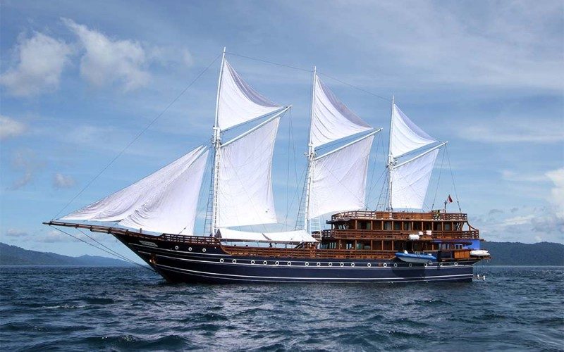 MSV Amira