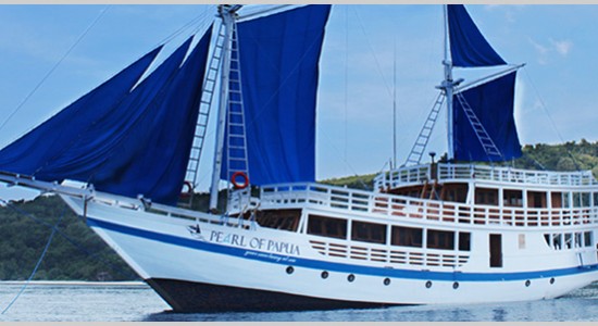 pearl-of-papua-liveaboard-diving