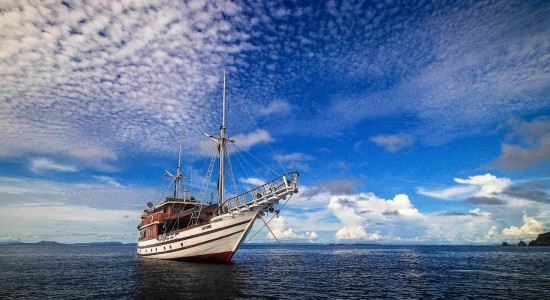 Lady Denok Liveaboard Indonesia