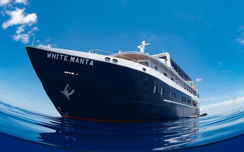 MV White Manta