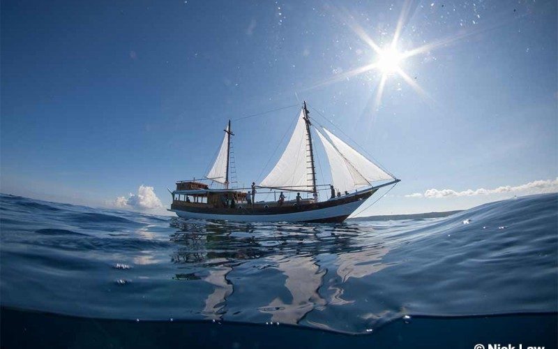 Kira Kira