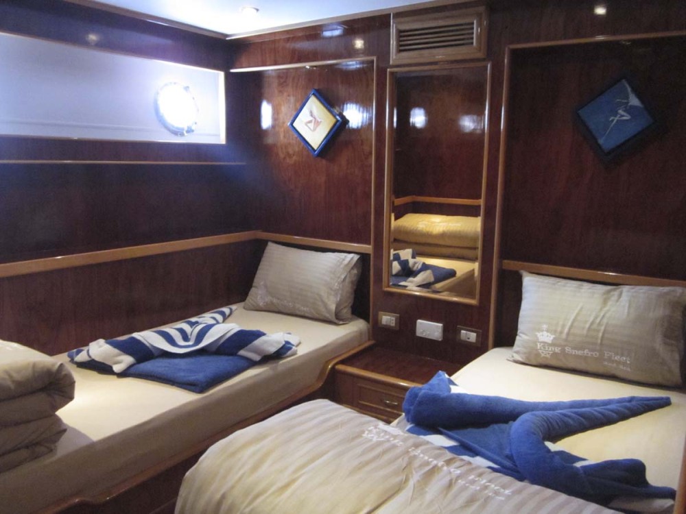 standard twin cabin lower deck snefro pearl dive boat