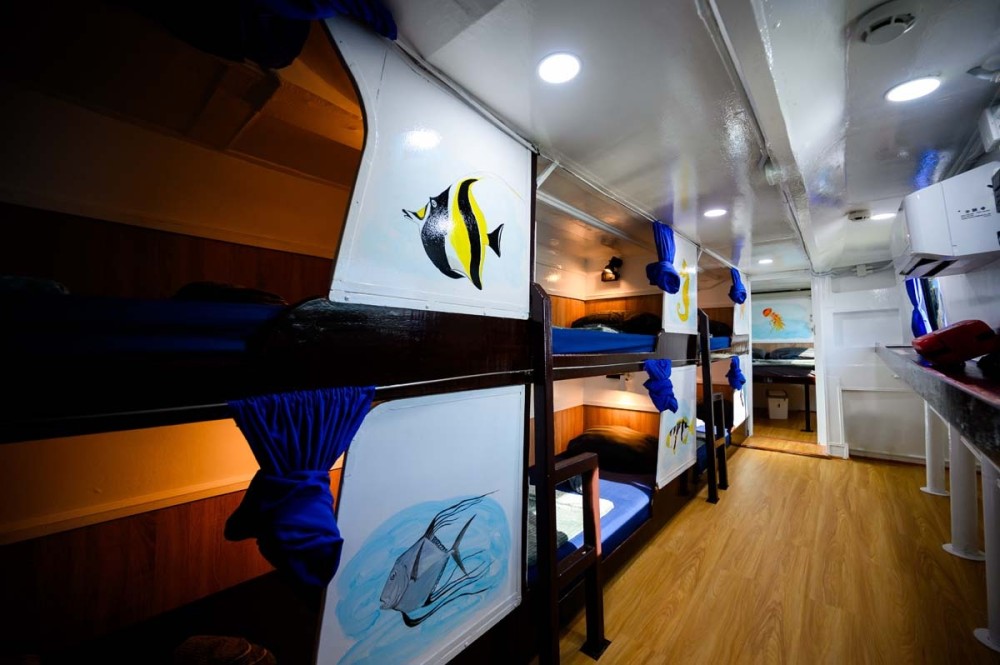 6 bed cabin onboard