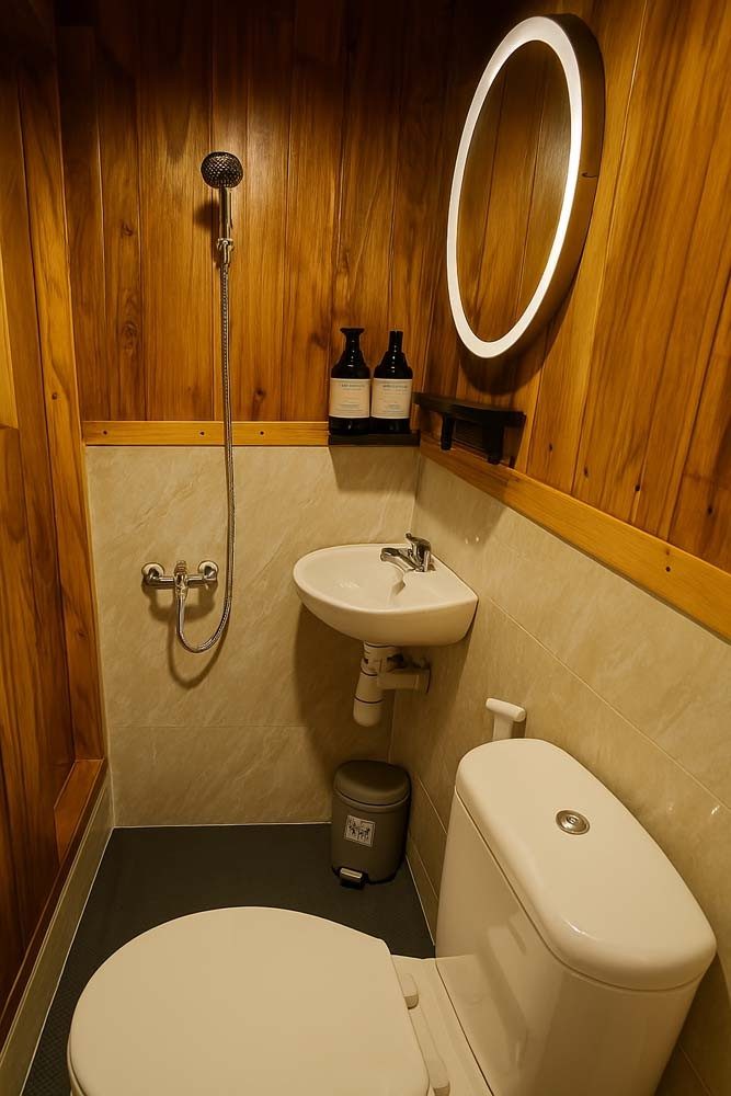 master cabin toilet bathroom
