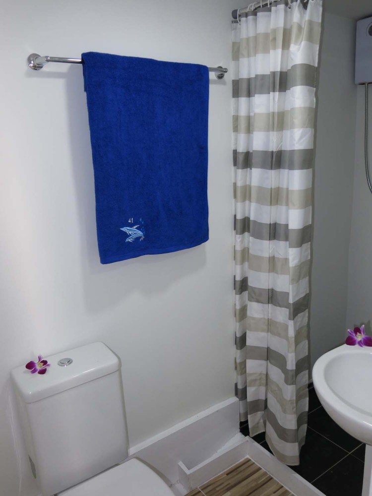 deluxe cabin en suite bathroom