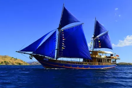 Moana