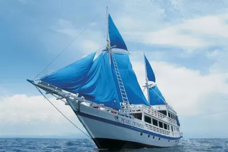 Pearl of Papua