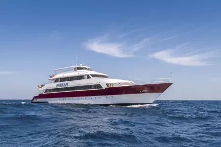 MV Emperor Elite