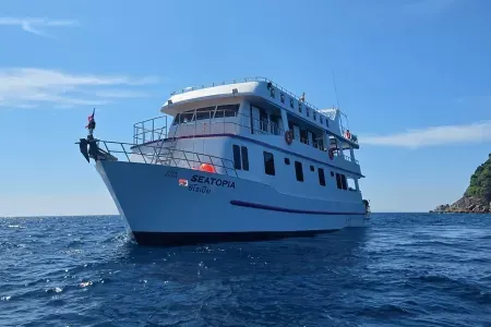 Seatopia