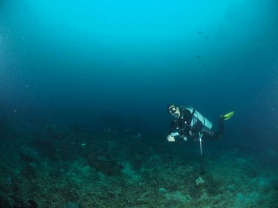 diver-in-Indonesia