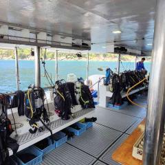 Tom H. MV Koon9 2026-02-22 00:00:00