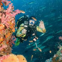 Blue Reef Snapper MV Manta Queen 3